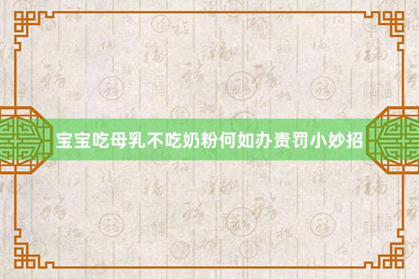 宝宝吃母乳不吃奶粉何如办责罚小妙招