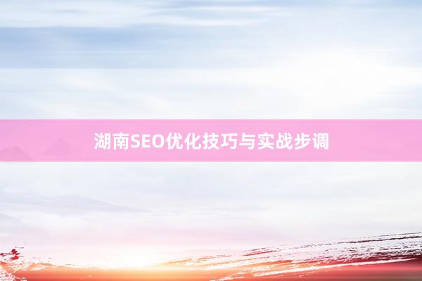 湖南SEO优化技巧与实战步调