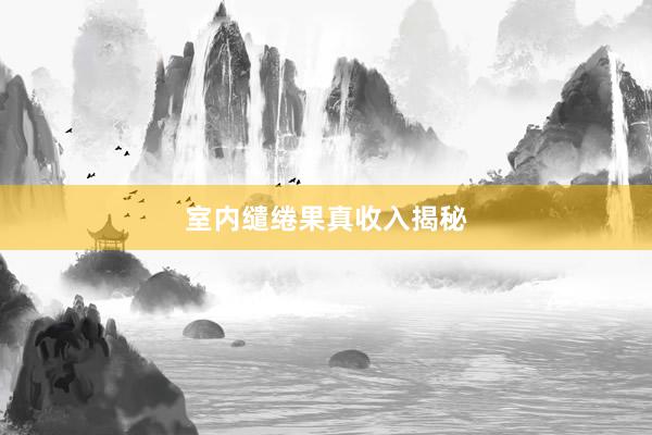 室内缱绻果真收入揭秘