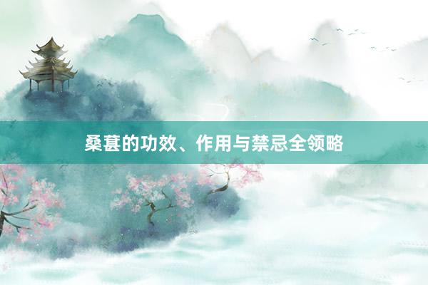 桑葚的功效、作用与禁忌全领略