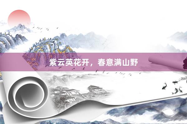 紫云英花开，春意满山野