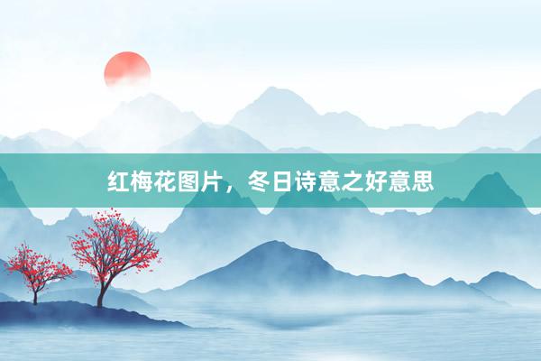 红梅花图片，冬日诗意之好意思